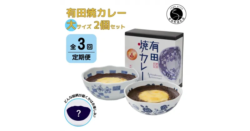 【ふるさと納税】【3回定期便】有田焼カレー(大)【器いろいろ】2個セット JR九州駅弁グランプリ テレビ番組全国駅弁ランキング1位 F45-1