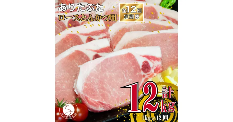 【ふるさと納税】【12回定期便 総計12kg】ありたぶた ロース とんかつ用 約1kg (1枚約100g×10パック) 12回 定期便 小分け 真空パック 豚肉 120000円 N120-4