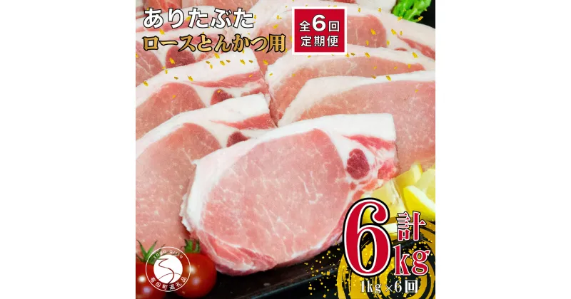 【ふるさと納税】【6回定期便 総計6kg】ありたぶた ロース とんかつ用 約1kg (1枚約100g×10パック) 6回 定期便 小分け 真空パック 豚肉 60000円 N60-3