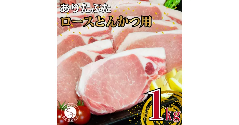 【ふるさと納税】【計1kg 小分け真空パック】ありたぶた ロース とんかつ用 約1kg (1枚約100g×10パック) 小分け 真空パック 豚肉 10000円 1万円 N10-60