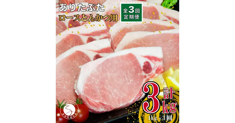 【ふるさと納税】【3回定期便 総計3kg】ありたぶた ロース とんかつ用 約1kg (1枚約100g×10パック) 3回 定期便 小分け 真空パック 豚肉 30000円 3万円 N30-27