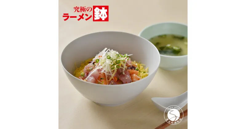 【ふるさと納税】有田焼 究極のラーメン鉢 Colors グレイ（レンゲ付）まるぶん A15-258