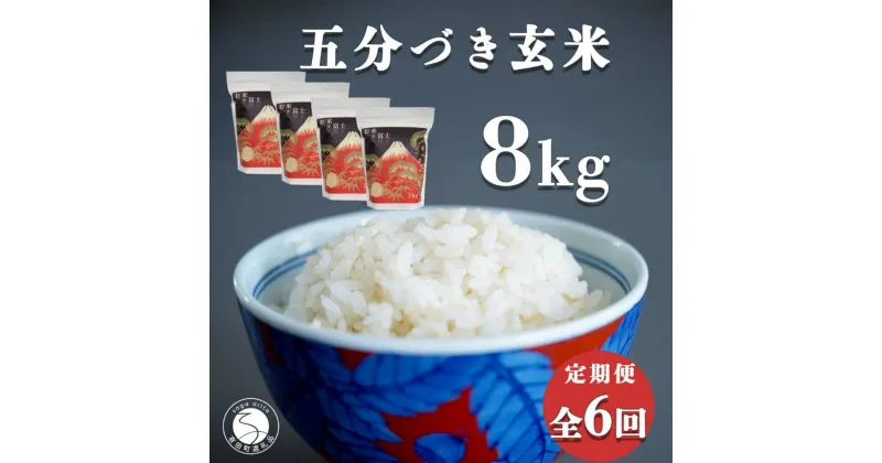 【ふるさと納税】【白米に近い玄米 6回定期便】新米 ひのひかり 新食感 五分づき 玄米 8kg (2kg×4袋) 6回 定期便 棚田米 西山食糧 K120-5