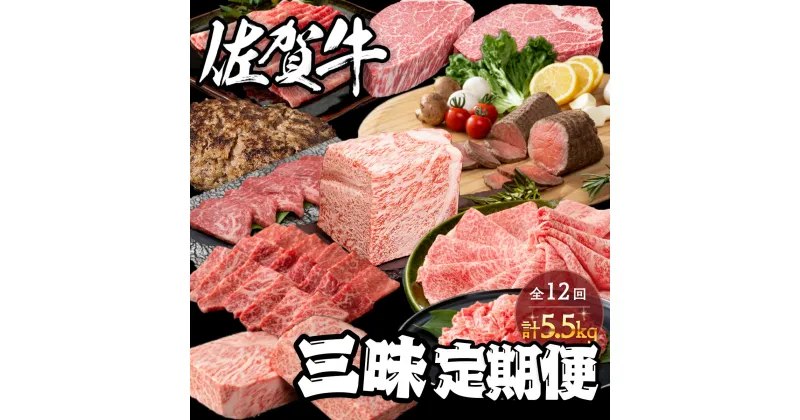 【ふるさと納税】佐賀牛三昧定期便 毎月届く 全12回 計5.5kg 肉 定期便 佐賀牛 こだわり おすすめ ギフト 贈答 黒毛和牛 ランキング 30万円 300000 N300-6