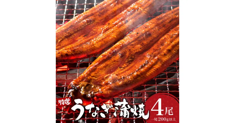 【ふるさと納税】うなぎ蒲焼き 800g (200g×4尾) 特選 肉厚／うなぎ 鰻 ウナギ 蒲焼 蒲焼き 土用 丑の日 特選 肉厚 たれ 国産 ふるさと 鰻丼 鰻重 うな重 うなぎたれ ギフト 贈り物 佐賀 佐賀県 送料無料