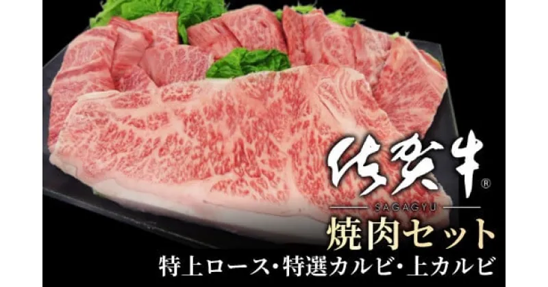 【ふるさと納税】地元精肉店厳選 佐賀牛 3種の焼肉セット 500g ／ ふるさと納税 佐賀牛 国産 焼肉 焼き肉 焼肉セット 佐賀県 大町町 切り落とし ステーキ すき焼き ヒレ ハンバーグ 冷凍 スライス ロース 薄切り