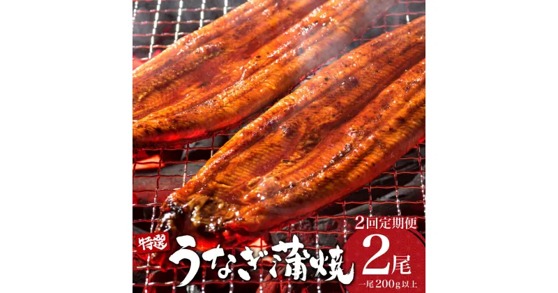 【ふるさと納税】＜定期便・全2回＞ うなぎ蒲焼き 計800g (200g×2尾×2回) ／うなぎ 鰻 ウナギ 蒲焼 蒲焼き 土用 丑の日 特選 肉厚 たれ 国産 ふるさと 鰻丼 鰻重 うな重 うなぎたれ ギフト 贈り物 佐賀 佐賀県 送料無料