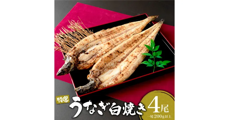 【ふるさと納税】うなぎ白焼き 800g (200g×4尾) ／うなぎ 鰻 ウナギ 蒲焼 蒲焼き 土用 丑の日 特選 肉厚 たれ 国産 ふるさと 鰻丼 鰻重 うな重 うなぎたれ ギフト 贈り物 佐賀 佐賀県 送料無料