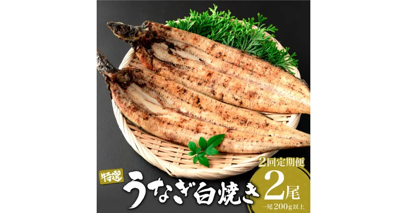 【ふるさと納税】＜定期便・全2回＞ うなぎ白焼き 計800g (200g×2尾×2回) 特選 肉厚／うなぎ 鰻 ウナギ 蒲焼 蒲焼き 土用 丑の日 特選 肉厚 たれ 国産 ふるさと 鰻丼 鰻重 うな重 うなぎたれ ギフト 贈り物 佐賀 佐賀県 送料無料