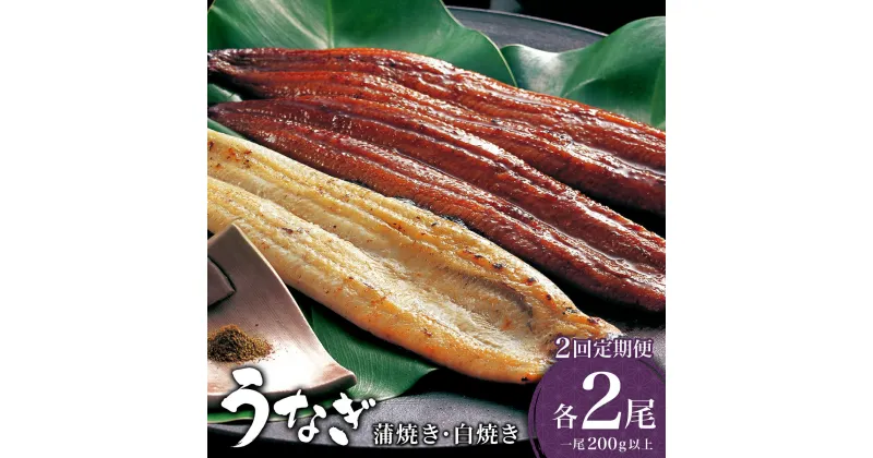 【ふるさと納税】＜定期便・全2回＞ うなぎ 蒲焼き 白焼き 食べ比べセット 計800g (200g×各1尾×2回)／ ふるさと納税 鰻 うなぎ ウナギ 国産 蒲焼 蒲焼き 特選 肉厚 ギフト 贈り物 送料無料 たれ