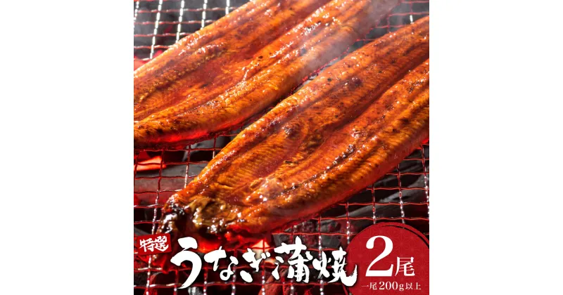 【ふるさと納税】うなぎ蒲焼き 400g (200g×2尾) 特選／うなぎ 鰻 ウナギ 蒲焼 蒲焼き 土用 丑の日 特選 肉厚 たれ 国産 ふるさと 鰻丼 鰻重 うな重 うなぎたれ ギフト 贈り物 佐賀 佐賀県 送料無料