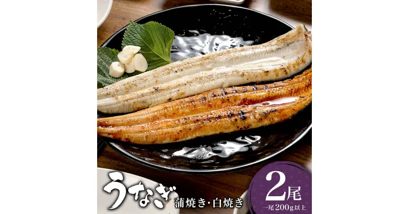 【ふるさと納税】うなぎ 蒲焼き 白焼き 食べ比べセット 400g (200g×各1尾) 特選 肉厚／うなぎ 鰻 ウナギ 蒲焼 蒲焼き 土用 丑の日 特選 肉厚 たれ 国産 ふるさと 鰻丼 鰻重 うな重 うなぎたれ ギフト 贈り物 佐賀 佐賀県 送料無料 食べ比べ