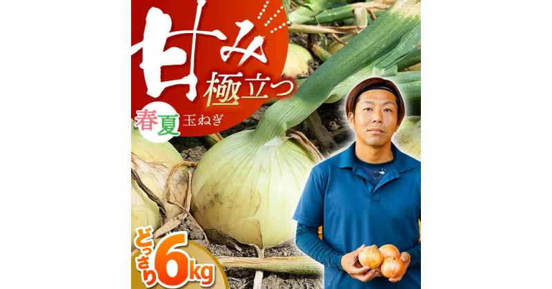 【ふるさと納税】江北町産 たまねぎ 約6kg 【百武青果】 [HAE008] / 佐賀 玉ねぎ 野菜 新玉ねぎ 晩生 玉葱