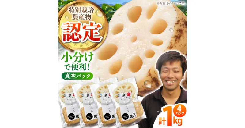 【ふるさと納税】【先行予約】地元江北町産 佐賀 れんこんパック 1kg ( 250g 4袋 ) 【百武青果】 [HAE013]