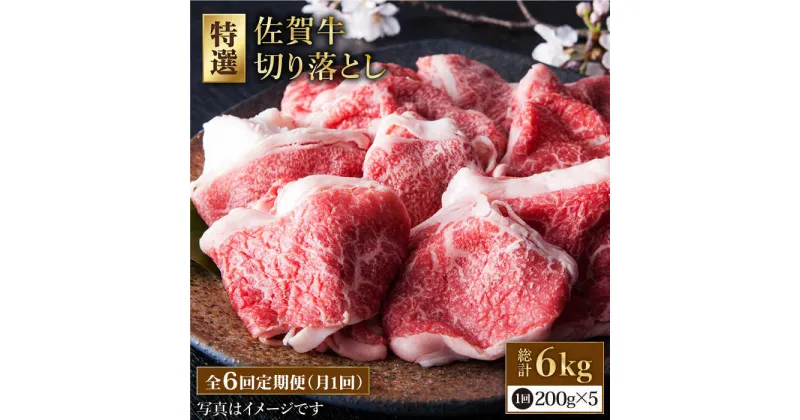 【ふるさと納税】【全6回定期便】佐賀牛 小分け 切り落とし 1kg ( 200g 5パック ) 【肉の三栄】 [HAA081]