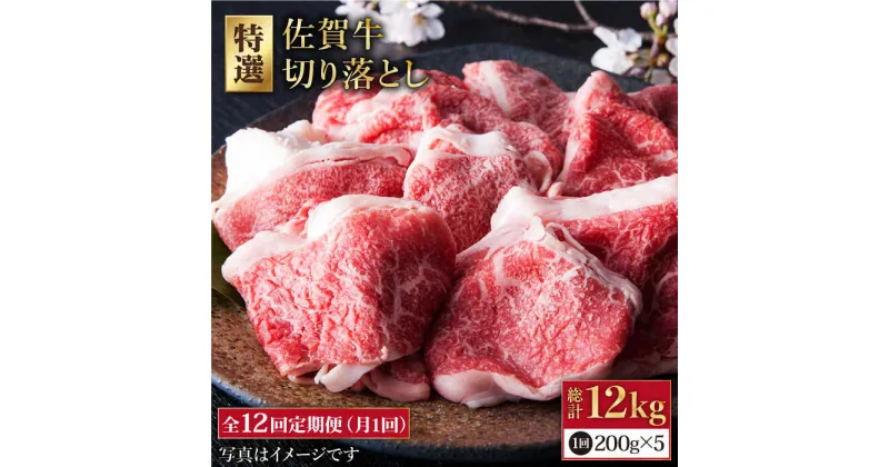 【ふるさと納税】【全12回定期便】佐賀牛 小分け 切り落とし 1kg ( 200g 5パック ) 【肉の三栄】 [HAA082]