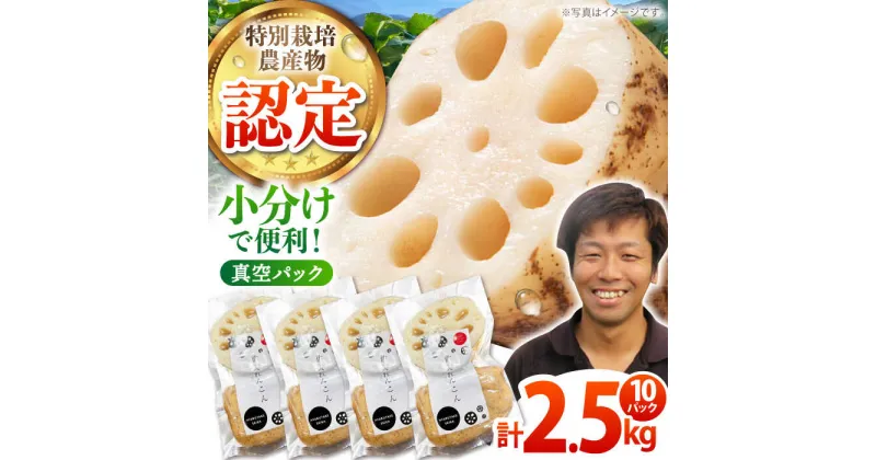 【ふるさと納税】【先行予約】地元江北町産 佐賀 れんこんパック 10パック（250g×10パック）【百武青果】 [HAE016]