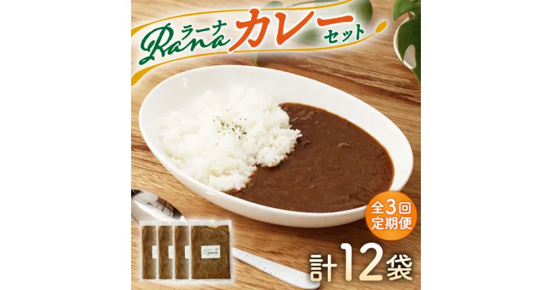 【ふるさと納税】【全3回定期便】Ranaカレー 4袋セット【創作キッチンRana】 [HCK006]