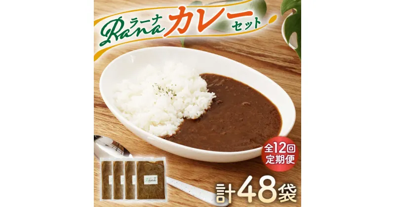 【ふるさと納税】【全12回定期便】Ranaカレー 4袋セット【創作キッチンRana】 [HCK008]