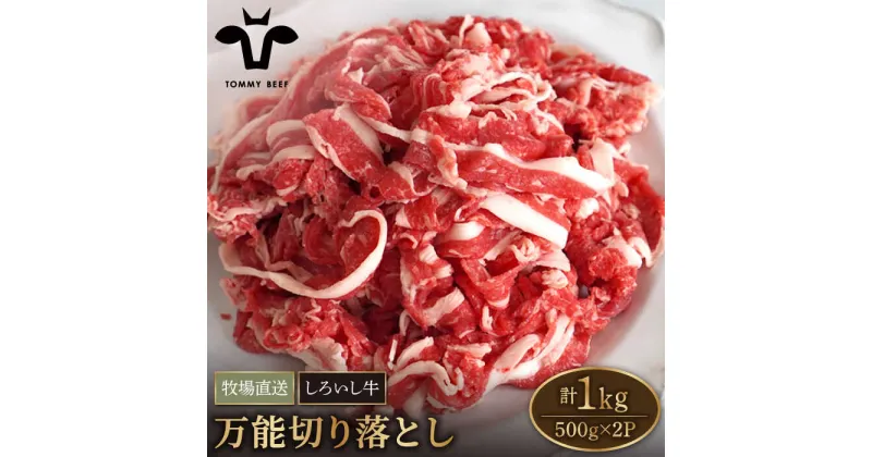 【ふるさと納税】【牧場直送】佐賀県産しろいし牛 万能切落し 1kg（500g×2パック） 【有限会社佐賀セントラル牧場】肉 お肉 牛肉 切り落とし 1kg 冷凍 [IAH005]