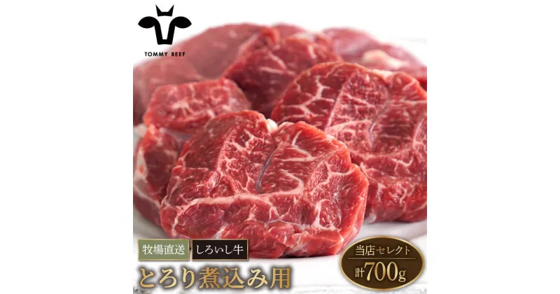 【ふるさと納税】【牧場直送】佐賀県産しろいし牛 とろり煮込み用 700g 【有限会社佐賀セントラル牧場】肉 お肉 牛肉 カレー シチュー [IAH009]