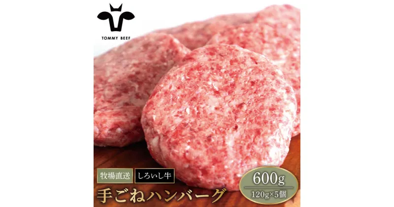 【ふるさと納税】【牧場直送】佐賀県産しろいし牛 ボリュームたっぷり手ごねハンバーグ (120g×5個) 【有限会社佐賀セントラル牧場】牛肉 ハンバーグ 個包装 無添加 惣菜 おかず [IAH016]