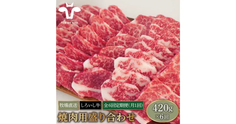 【ふるさと納税】【牧場直送】【6回定期便】佐賀県産しろいし牛 焼肉用盛り合わせセット(希少部位) 420g×6回 【有限会社佐賀セントラル牧場】モモ カタ 肩 バラ 肉 お肉 牛肉 焼き肉 BBQ 冷凍 [IAH024]