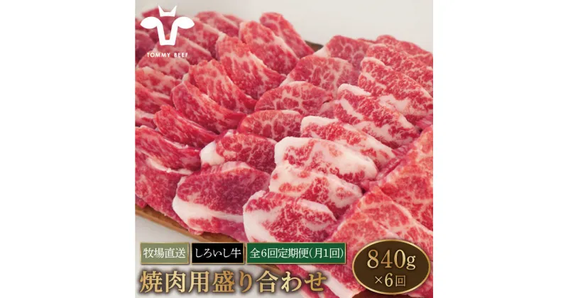 【ふるさと納税】【牧場直送】【6回定期便】佐賀県産しろいし牛 焼肉用盛り合わせセット (希少部位) 840g×6回 【有限会社佐賀セントラル牧場】モモ カタ 肩 バラ 肉 お肉 牛肉 焼き肉 BBQ 冷凍[IAH025]