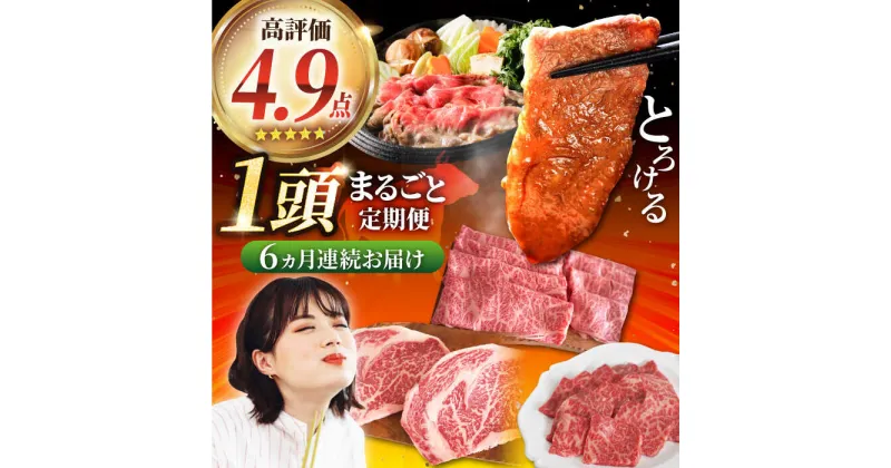 【ふるさと納税】【牧場直送】【6回定期便】佐賀県産しろいし牛 1頭まるごと定期便〈毎月限定10セット〉【有限会社佐賀セントラル牧場】肉 お肉 牛肉 ステーキ 焼肉 すき焼き しゃぶしゃぶ ヒレ 赤身 霜降り 冷凍[IAH032]