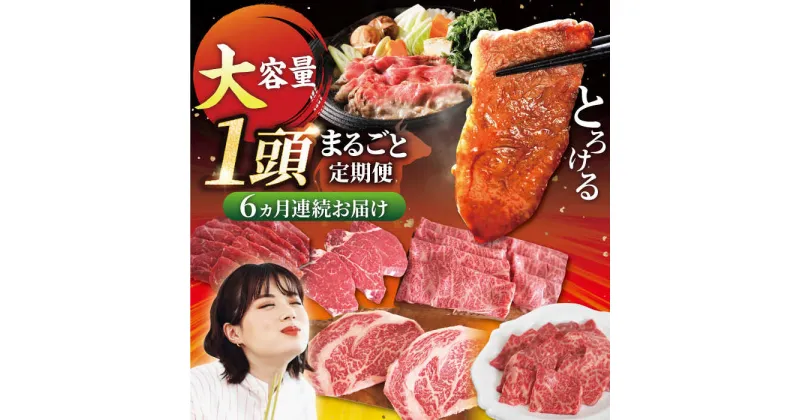 【ふるさと納税】【牧場直送】【6回定期便】佐賀県産しろいし牛 1頭まるごと定期便〈毎月限定10セット〉【有限会社佐賀セントラル牧場】肉 お肉 牛肉 ステーキ 焼肉 すき焼き しゃぶしゃぶ ヒレ 赤身 霜降り 冷凍[IAH033]