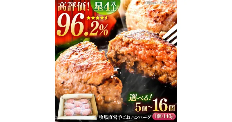 【ふるさと納税】【選べる容量】牧場直営店の手作りハンバーグ （5個、8個、16個）【川崎畜産】お肉 肉 冷凍 加工品 おかず 惣菜 ハンバーグ [IAX001]