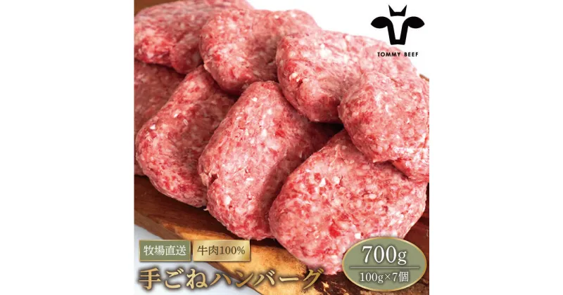 【ふるさと納税】【牧場直送】岩塩と牛肉のみで作った手ごねハンバーグ (100g×7個) 【有限会社佐賀セントラル牧場】牛肉 ハンバーグ 個包装 無添加 惣菜 おかず 白富牛[IAH015]