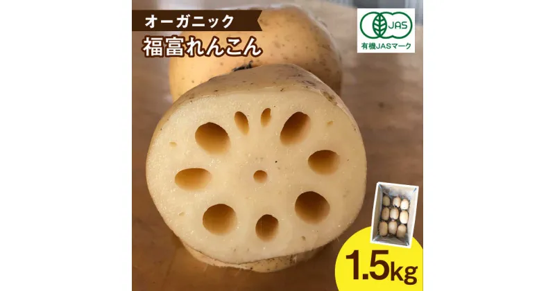 【ふるさと納税】【先行予約】【節切り】希少な オーガニック 福富 れんこん 約1.5kg【中島農園】野菜 新鮮 美肌 レンコン 蓮根 野菜 根菜 有機JAS 白石町産 佐賀県産 [IBC001]