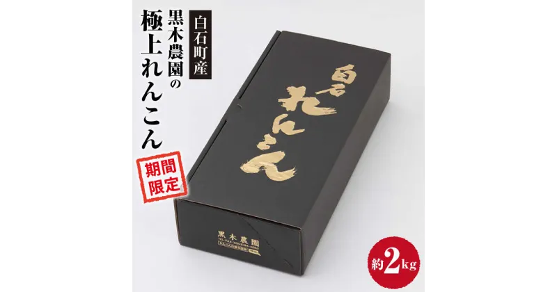 【ふるさと納税】【先行予約】大切な人へのギフトにも！ 極上れんこん 約2kg 化粧箱 （黒）入り【黒木農園】特別栽培 レンコン 蓮根 白石町産 野菜 根菜 高品質 [IAU002]