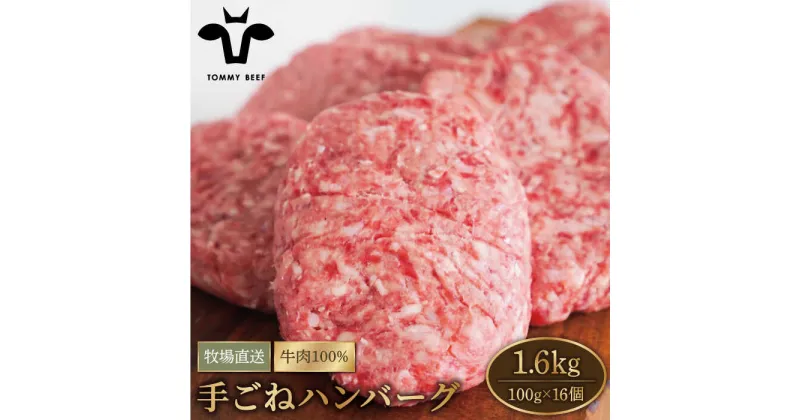 【ふるさと納税】【牧場直送】岩塩と牛肉のみで作った手ごねハンバーグ 100g×16個【有限会社佐賀セントラル牧場】 [IAH043]