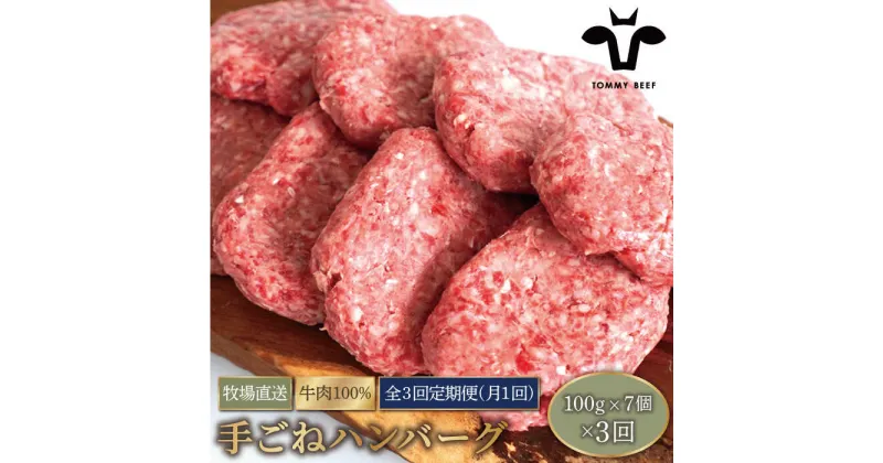 【ふるさと納税】【牧場直送】【3回定期便】岩塩と牛肉のみで作った手ごねハンバーグ 100g×7個【有限会社佐賀セントラル牧場】牛肉 ハンバーグ 個包装 無添加 惣菜 おかず 冷凍[IAH054]