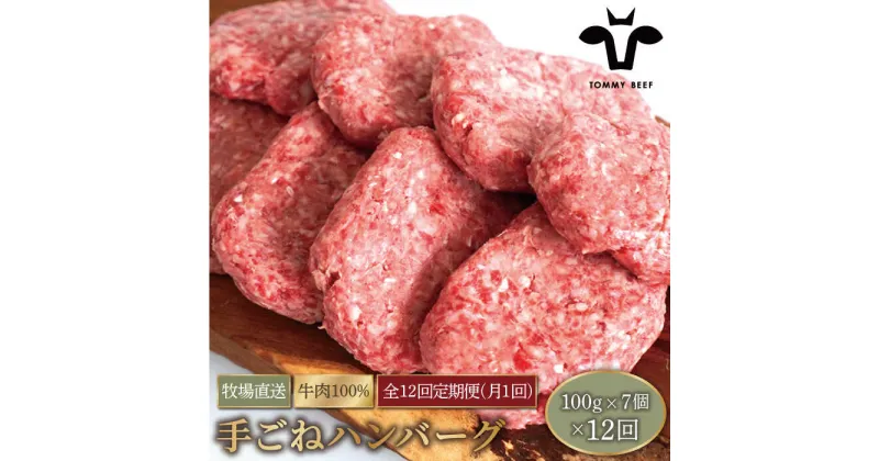 【ふるさと納税】【牧場直送】【12回定期便】岩塩と牛肉のみで作った手ごねハンバーグ 100g×7個【有限会社佐賀セントラル牧場】牛肉 ハンバーグ 個包装 無添加 惣菜 おかず 冷凍 [IAH056]