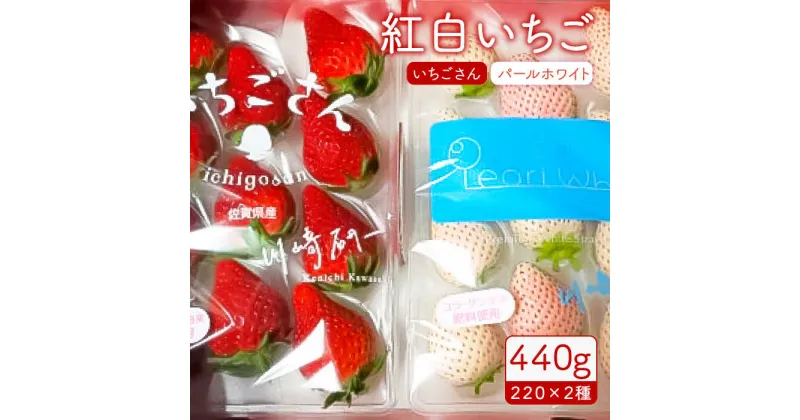 【ふるさと納税】【先行予約】赤白いちご「いちごさん」＆「パールホワイト」セット各220g 【かわさきいちご】イチゴ 白イチゴ 苺 果物 フルーツ 佐賀県産 [IBG002]