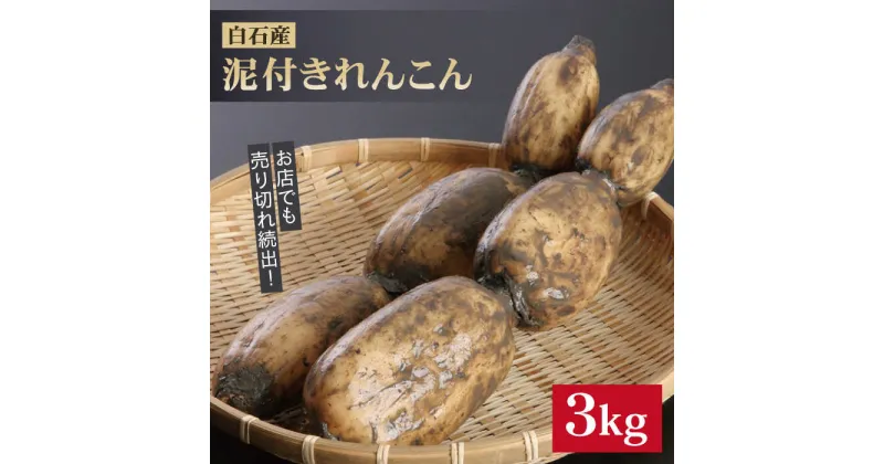 【ふるさと納税】レンコンの名産地！白石町産 泥付き れんこん（3kg） /レンコン 蓮根 佐賀県産 野菜 根菜 高品質 [IZZ011]