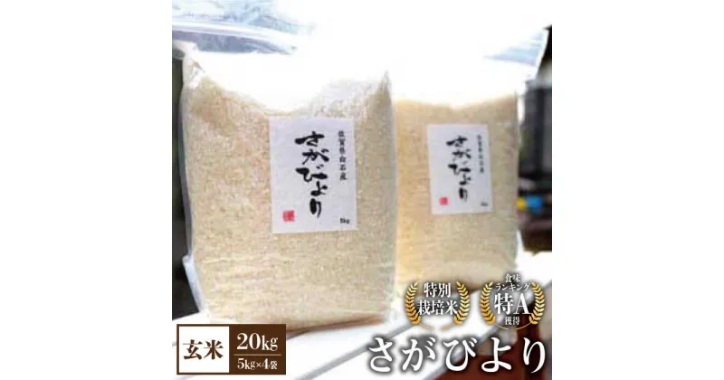 【ふるさと納税】【先行予約】【令和6年産新米】【九州米・食味コンクール3年連続入賞！】こだわりのさがびより 20kg（玄米）【白浜農産】米 お米 農家直送 直送 特別栽培 特別栽培米 減農薬 減化学肥料 高品質 特A評価 [IBL004]