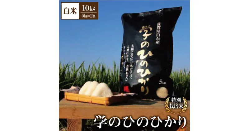 【ふるさと納税】【先行予約】【令和6年産新米】学の ひのひかり 10kg（白米）【白浜農産】米 お米 農家直送 直送 特別栽培 特別栽培米 減農薬 減化学肥料 高品質[IBL005]