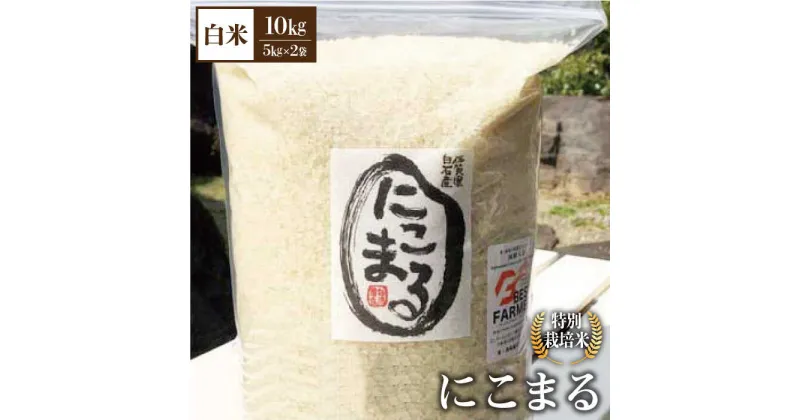 【ふるさと納税】【先行予約】【令和6年産新米】こだわりの にこまる 10kg（白米）【白浜農産】米 お米 農家直送 直送 特別栽培 特別栽培米 減農薬 減化学肥料 高品質 [IBL009]