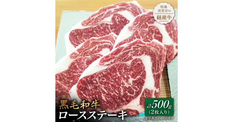 【ふるさと納税】【贅沢な味わい】牧場直営店の黒毛和牛 ロースステーキ 500g（2枚入り）【川崎畜産】経産牛 お肉 肉 牛肉 冷凍 和牛 ステーキ [IAX014]