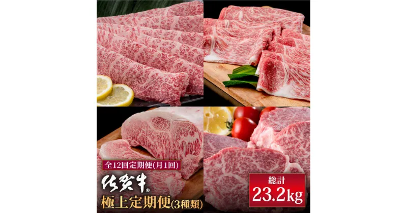 【ふるさと納税】【肉のプロが厳選！】【全12回】佐賀牛 極上定期便【株式会社いろは精肉店】お肉 肉 牛肉 冷凍 ロース ヒレ ステーキ すきやき すき焼き しゃぶしゃぶ 切落し 切り落とし[IAG079]