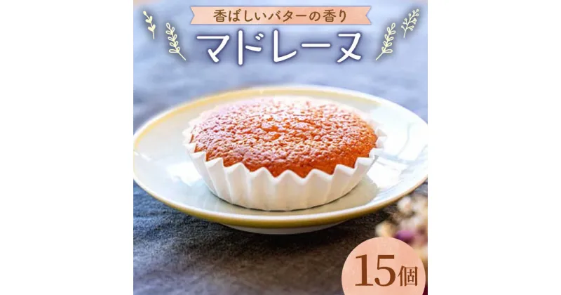 【ふるさと納税】【大切な方への贈り物に★】昔マドレーヌいちむら×15個【patisserie CARINTEI】 スイーツ ケーキ 洋菓子 お菓子 菓子 ギフト プレゼント[ICH002]