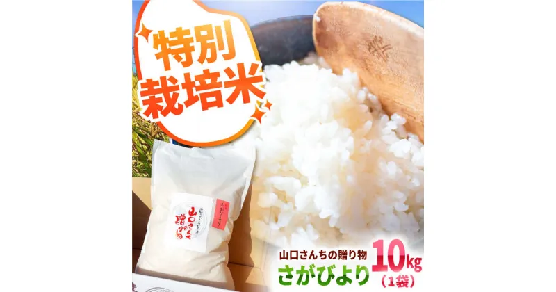 【ふるさと納税】【先行予約】令和6年産新米！ 特別栽培米 さがびより 10kg 白米～山口さんちの贈り物～【y’scompany】米 コメ お米 佐賀県産 白石町産 [IAS006]