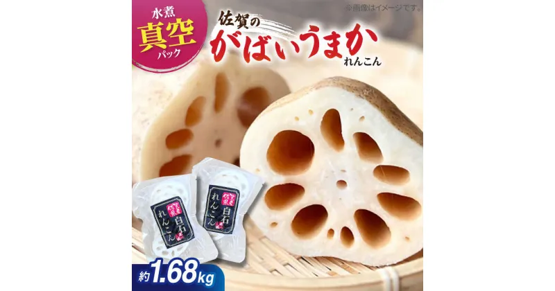 【ふるさと納税】【お手軽調理！】白石町産 水煮れんこん 120g×14袋（カット有り/真空パック）【有限会社白石開発】 蓮根 レンコン 佐賀県産 白石町産 野菜 根菜 小分け 真空 保存 [IBN003]