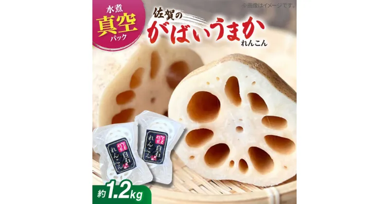 【ふるさと納税】【お手軽調理！】白石町産 水煮れんこん 120g×10袋（カット有り/真空パック）【有限会社白石開発】 蓮根 レンコン 佐賀県産 白石町産 野菜 根菜 小分け 真空 保存 [IBN004]