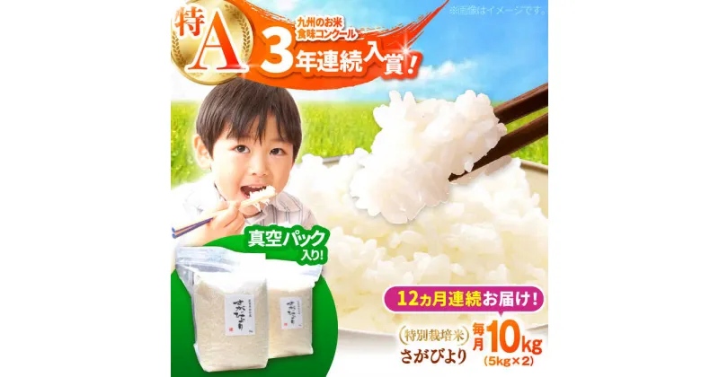 【ふるさと納税】【令和6年産新米】【全12回定期便】【九州米・食味コンクール3年連続入賞！】こだわりの さがびより 10kg（白米）【白浜農産】米 お米 農家直送 直送 特別栽培 特別栽培米 減農薬 減化学肥料 高品質 特A評価 [IBL018]