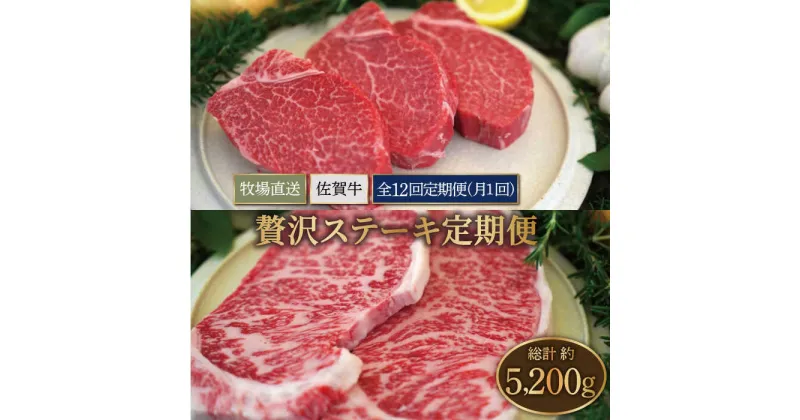 【ふるさと納税】【牧場直送】【12回定期便】佐賀牛 贅沢 ステーキ食べ尽くし【有限会社セントラル牧場】黒毛和牛 肉 お肉 牛肉 ヒレ サーロイン サイコロステーキ 冷凍 [IAH082]